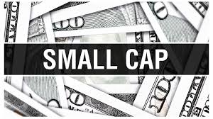 SMALL CAPS - Dica de Hoje