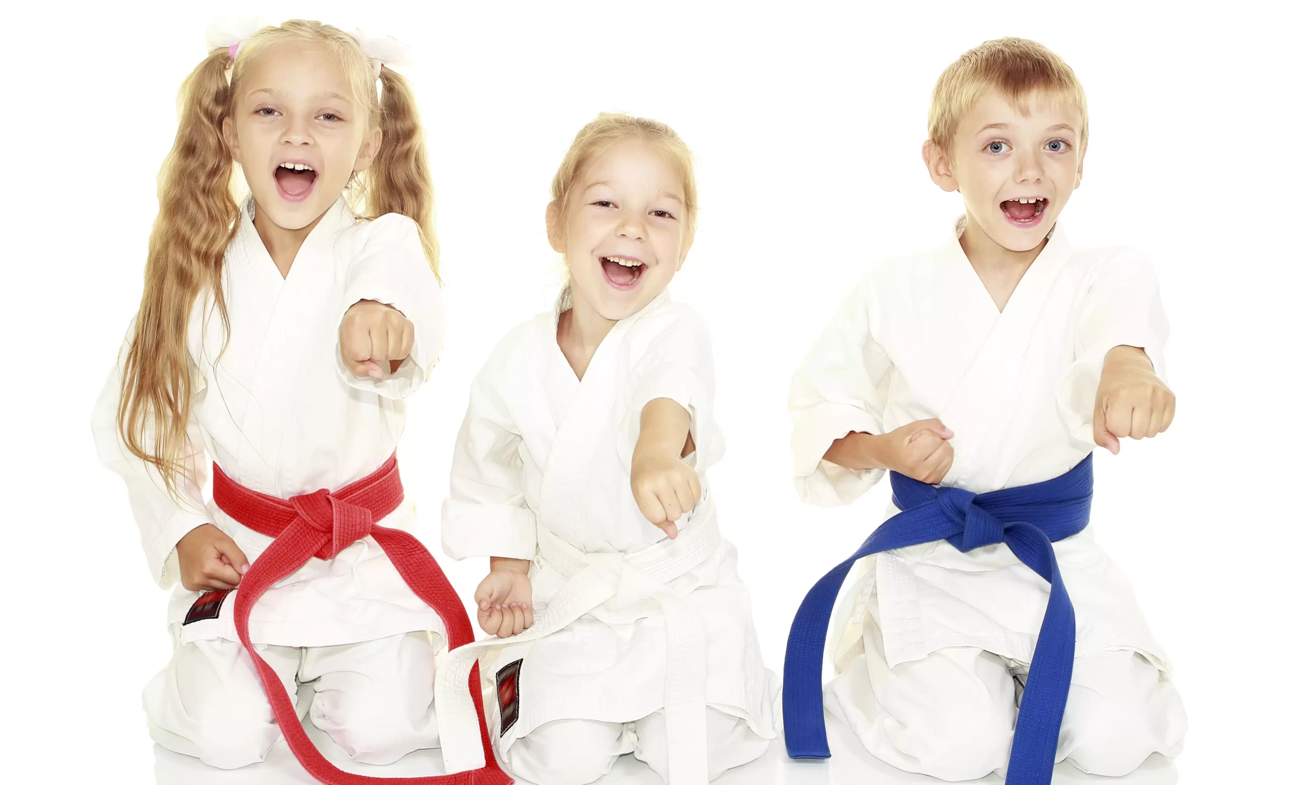 Brazilian Jiu-Jitsu Curriculum for Kids